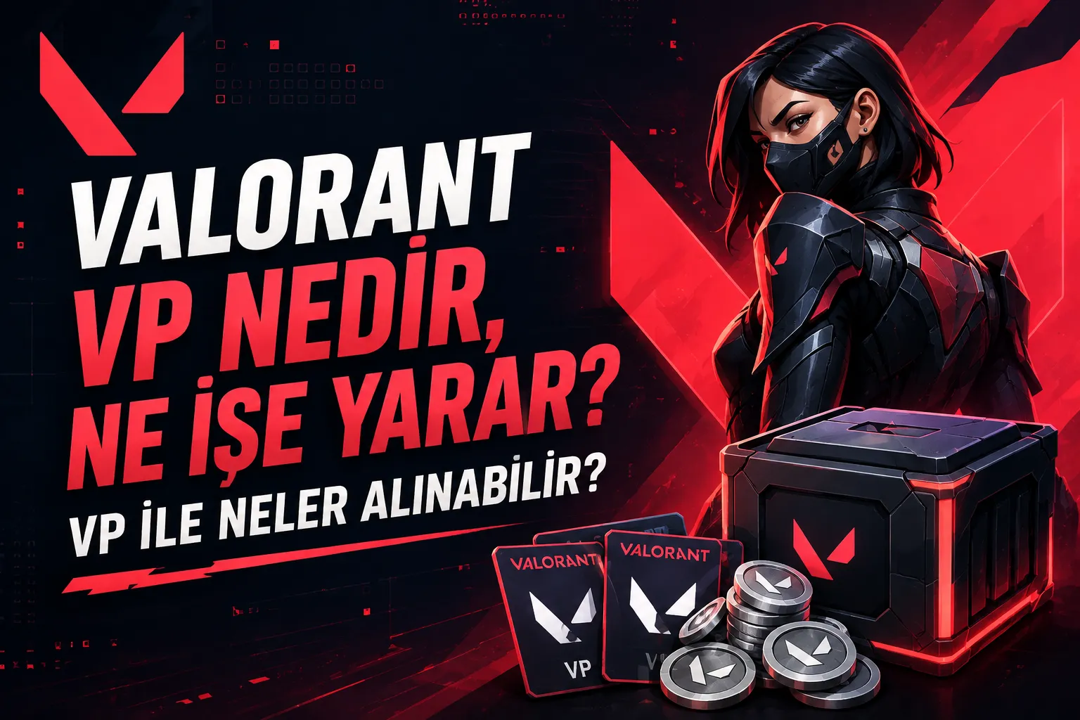 VP ile Neler Alınabilir?