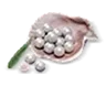 600 Echo Beads