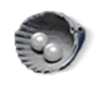 60 Echo Beads