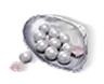 300 Echo Beads