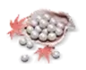 1800 Echo Beads