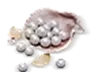 900 Echo Beads